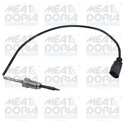 Sensor, exhaust gas temperature